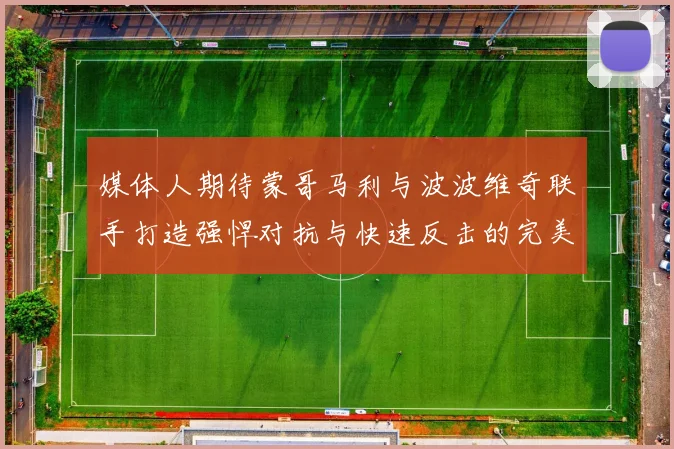 媒体人期待蒙哥马利与波波维奇联手打造强悍对抗与快速反击的完美结合