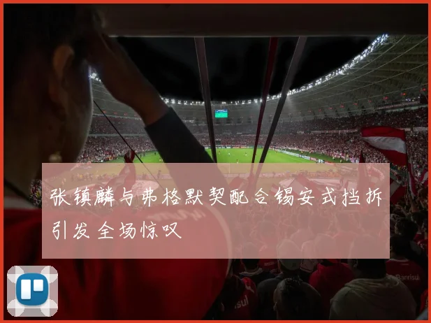 张镇麟与弗格默契配合锡安式挡拆引发全场惊叹