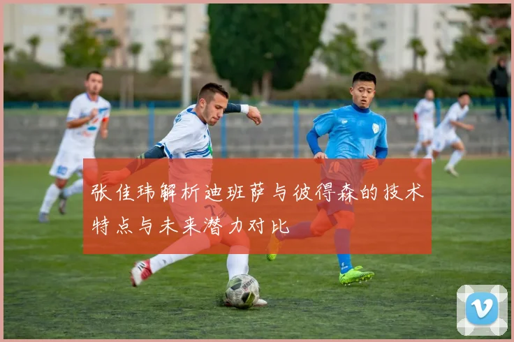 张佳玮解析迪班萨与彼得森的技术特点与未来潜力对比